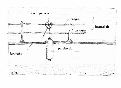 Image battagliola